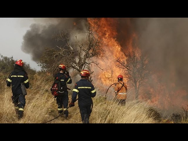 ⁣Arde Grecia: Bomberos de otras partes de Europa intervienen en la extinción del fuego en Corintia