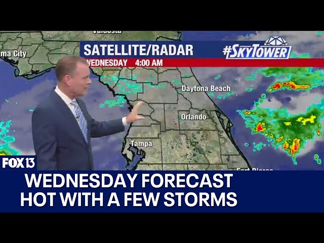 ⁣Tampa weather | Hot with a few storms