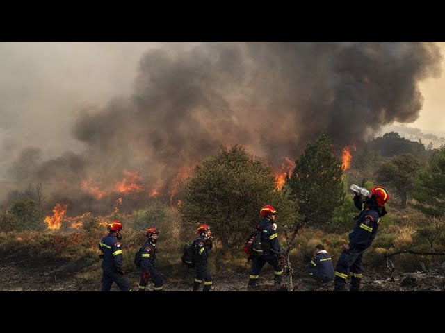 ⁣Griechenland: Große Waldbrände auf Halbinsel Peloponnes nicht unter Kontrolle