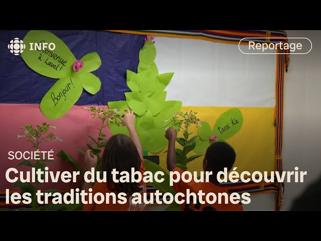 ⁣Cultiver du tabac à l’école primaire pour découvrir des traditions autochtones