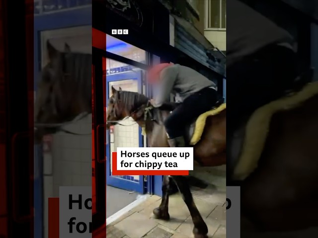 ⁣Horses shock customers by queueing up in UK chip shop. #UK #BBCNews