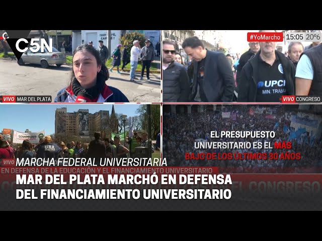 ⁣MARCHA FEDERAL UNIVERSITARIA en MAR DEL PLATA: la voz de la calle