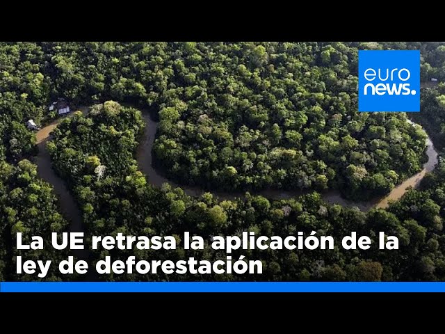 ⁣La UE retrasa la aplicación de la ley de deforestación tras las protestas mundiales