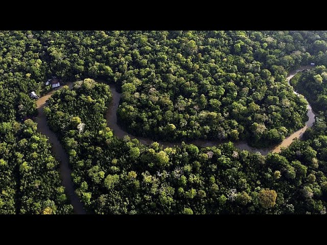 ⁣La Commission retarde la mise en œuvre de la loi sur la déforestation à la suite d'un tollé mon