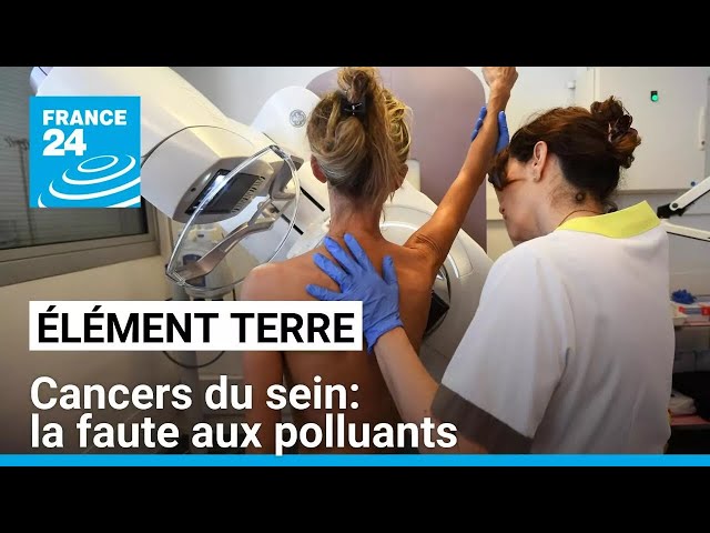 ⁣Les cancers du sein: la faute aux polluants • FRANCE 24