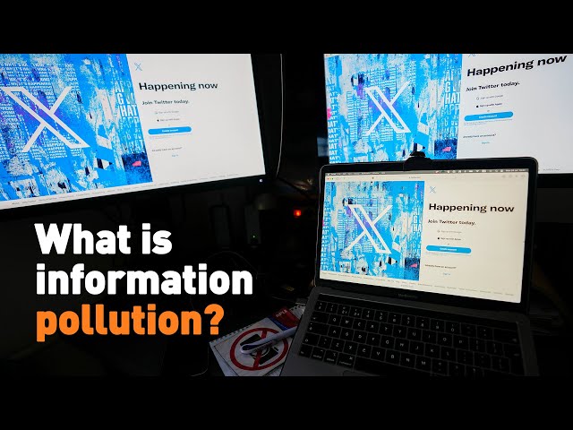 ⁣What is information pollution?