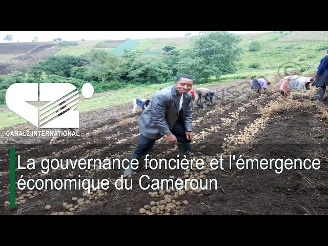 ⁣La gouvernance foncière et l'émergence économique du Cameroun ( 100% ECO du Mercredi 02/10/2024