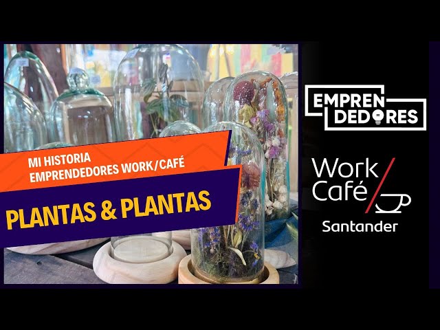 ⁣Plantas y Plantas: La tienda favorita de las "plant moms"