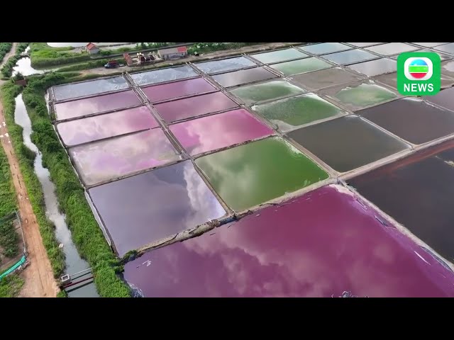 ⁣TVB News｜2 October 2024│Colourful salt fields in Shangdong