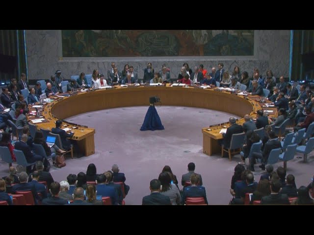 ⁣UN Security Council meets after Iranian missile strikes on Israel