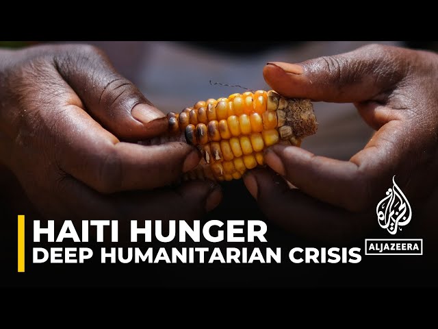 ⁣Hunger in Haiti: Half the country's population facing food insecurity