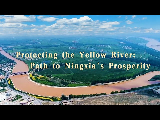 ⁣Protecting the Yellow River: Path to Ningxia's prosperity