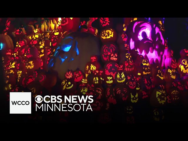 ⁣Jack-O-Lantern Spectacular returns to Minnesota Zoo