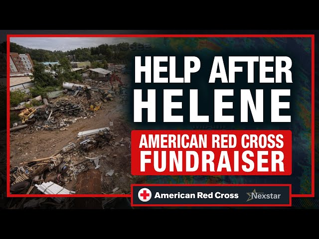 ⁣Help after Helene: recovery efforts and how you can lend a hand