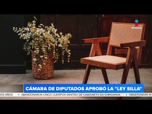 ⁣La Cámara de Diputados aprueba la “Ley Silla”