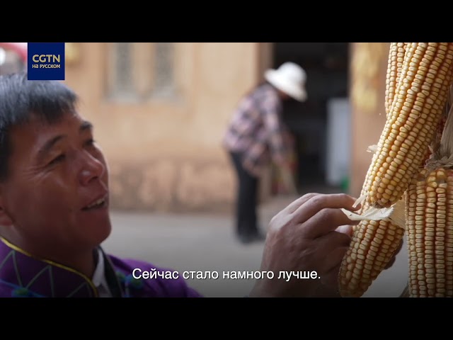 ⁣Дела в гору: новая жизнь сельчан из Саньхэ