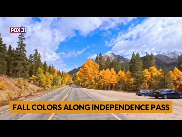 ⁣Fall colors drive along Independence Pass in Colorado