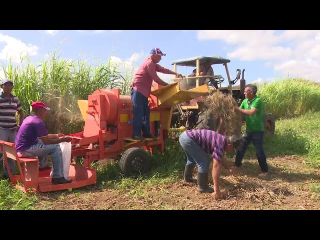 ⁣Celebran en #LasTunas el Día del Trabajador Agropecuario