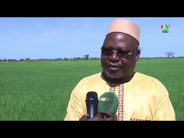 ⁣Actualités AES: La campagne agricole s'annonce bonne au Mali.