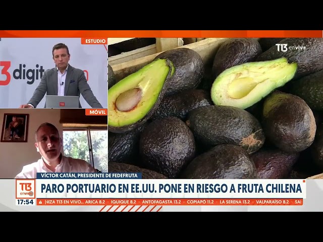 ⁣Paro portuario en Estados Unidos pone en riesgo a fruta chilena