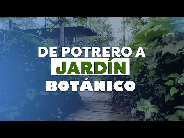 ⁣Increíble transformación: potrero abandonado pasó a ser un jardín botánico en el Amazonas