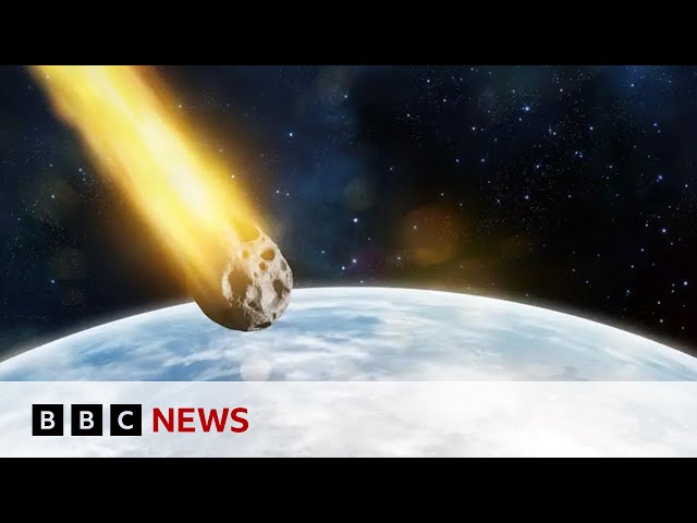 ⁣Asteroid that killed the dinosaurs was not alone | BBC News