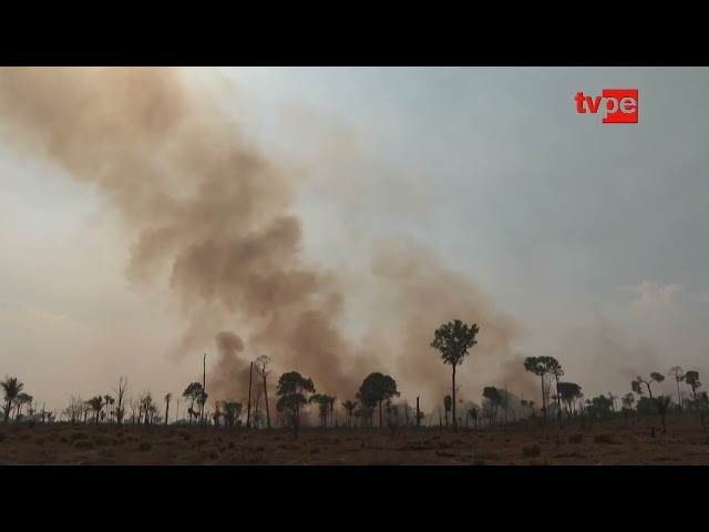 ⁣Incendios forestales: Estrategias efectivas para cuidar el medio ambiente