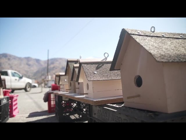 ⁣27th Annual Peddler's Fair taking place in Lake Isabella emphasizes local vendors