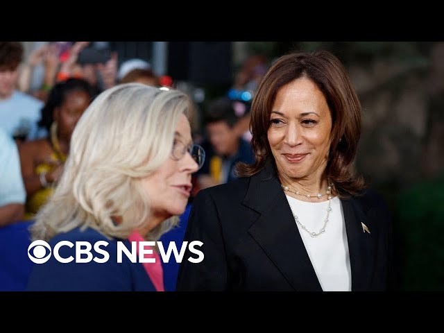 ⁣How Liz Cheney's support can help Kamala Harris ahead of Election Day