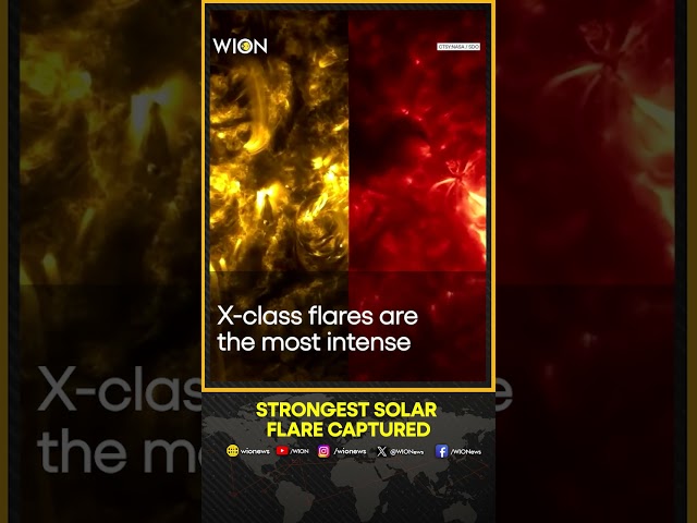 ⁣NASA captures stunning X9-class solar flare, strongest of this cycle | WION Shorts