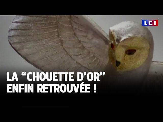 ⁣Chouette d'or : 31 ans après, elle a été trouvée !