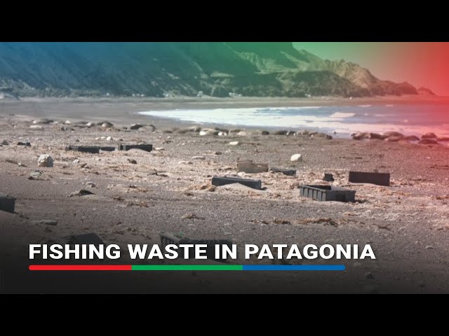 ⁣Fishing waste chokes marine wildlife in Argentina's Patagonia