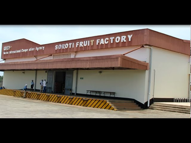 ⁣Soroti fruit factory faces brutal competition and marketing challenges