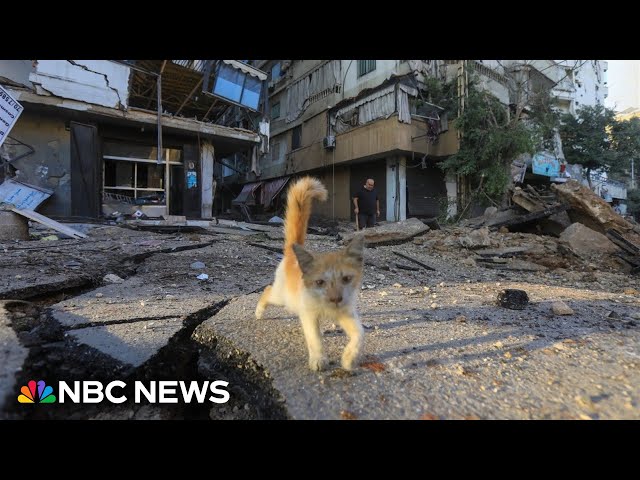 ⁣Matt Bradley reports on fatal Israeli strikes in central Beirut