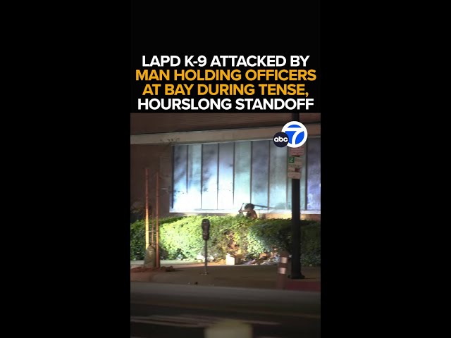 ⁣Suspect attacks LAPD K-9 with ladder during standoff