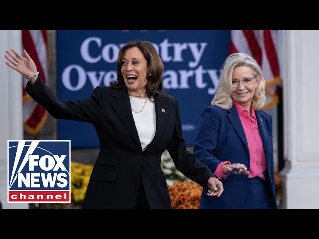 ⁣Trump RIPS Liz Cheney for campaigning for Kamala Harris: 'They hurt each other'