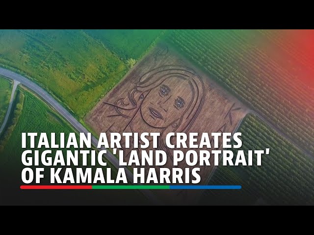 ⁣Italian artist creates gigantic 'land portrait' of Kamala Harris