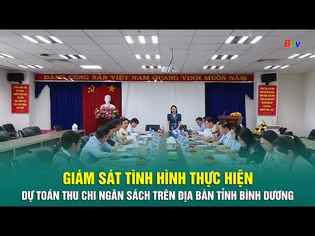 ⁣Giám sát tình hình thực hiện dự toán thu chi ngân sách trên địa bàn tỉnh Bình Dương