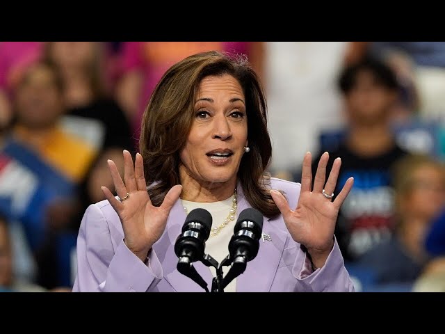 ⁣Kamala Harris aims to flip North Carolina blue in US election