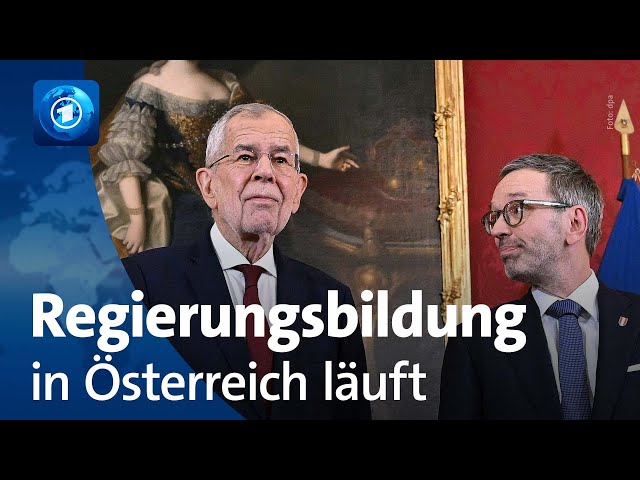 ⁣Regierungsbildung in Österreich nach Parlamentswahl gestartet