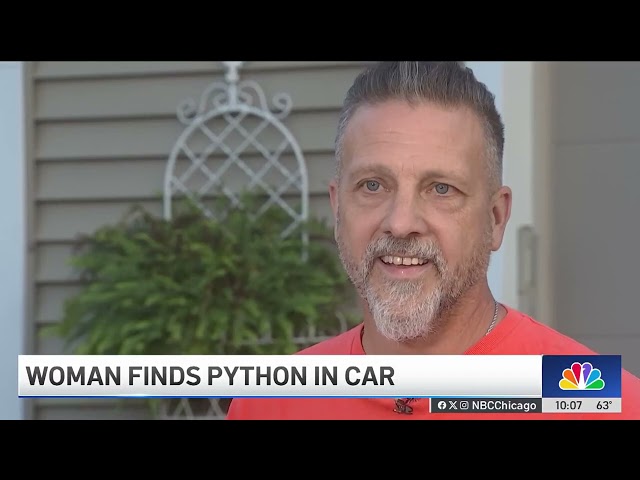 ⁣Python found deep inside Geneva woman's car