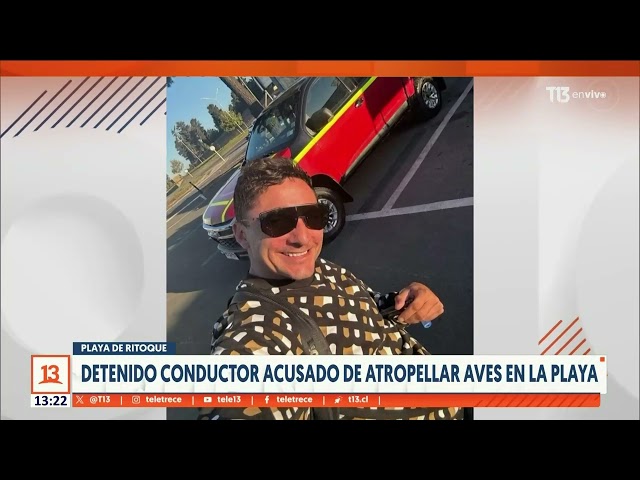 ⁣Detienen a conductor que atropelló y mató aves en Ritoque: quedó con arresto domiciliario total