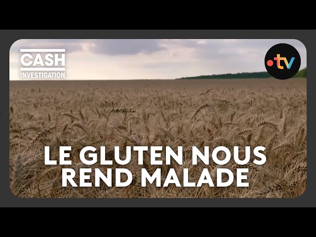 ⁣Gluten : notre blé est-il devenu indigeste ? - Cash investigation