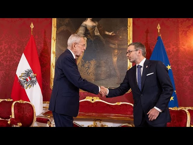 ⁣Far-right Freedom Party leader holds talks with Austrian president on new government