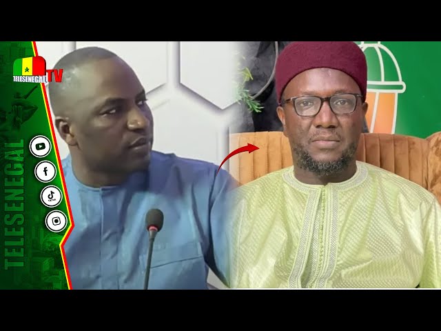 ⁣Serigne Habib Mbacké ne lâche pas Cheikh Omar Diagne,le taxe de Nafeek et dévoile..