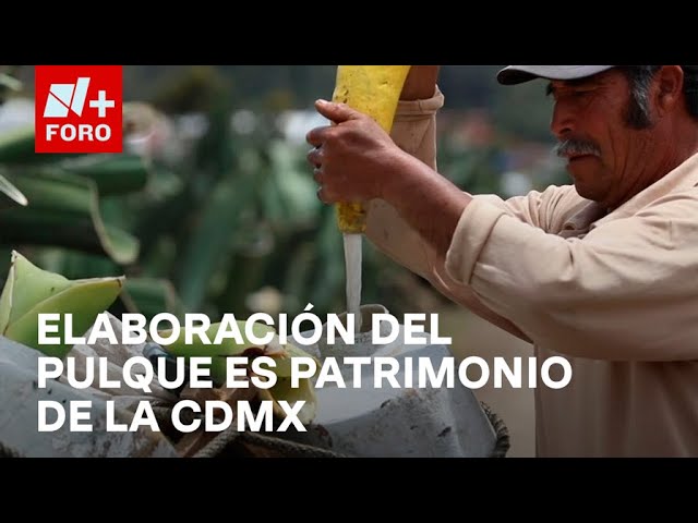 Declaran proceso de elaboración del pulque Patrimonio Cultural Inmaterial - Expreso de la Mañana