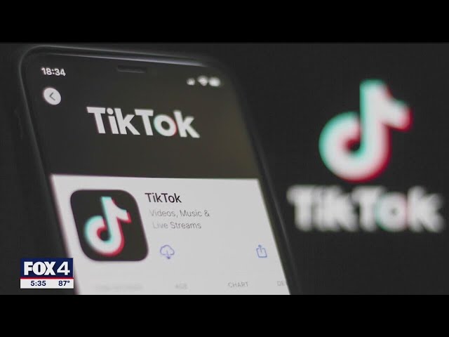 ⁣Texas sues TikTok over claims app illegally shares minor's data