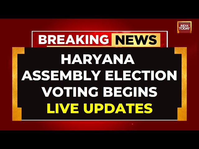 ⁣LIVE: Haryana Assembly Elections Voting LIVE | Multi-Cornered Electoral Battle In Haryana