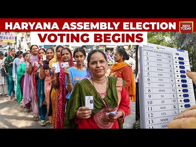 ⁣Haryana Assembly Polls LIVE News: Who Will Win The Battle For Haryana? | Voting Begins In Haryana