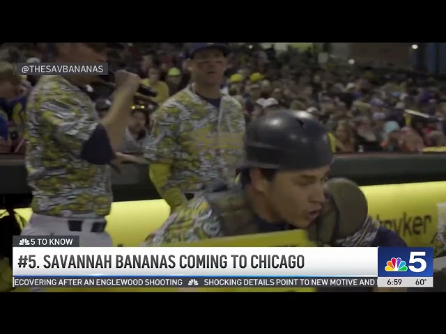 ⁣Famed Savannah Bananas coming to Chicago on 2025 world tour